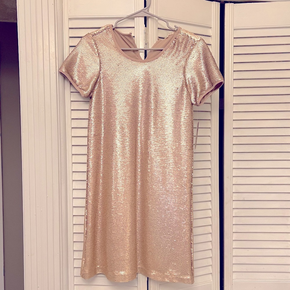 Champagne/rose gold sequin dress